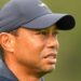LA fires: Tiger Woods offers his support to those impacted and gives update about PGA Tour’s Genesis Invitational | Golf News