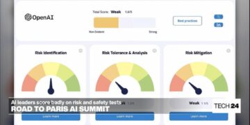 Top AI companies score badly on risk and safety assessments, ahead of Paris summit