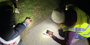 The Chileno Valley Newt Brigade helps newts cross the road : NPR