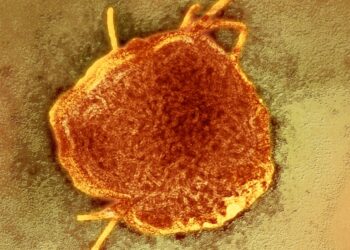 Measles Outbreak Hits Town in Texas