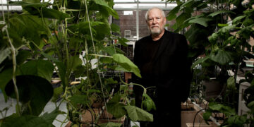 Dickson Despommier Dies at 84; Championed Farming in Skyscrapers