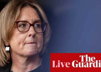 Australia news live: Allan admits ‘more to do’ after byelection collapse in Labor vote; severe weather warnings on both sides of continent | Australia news