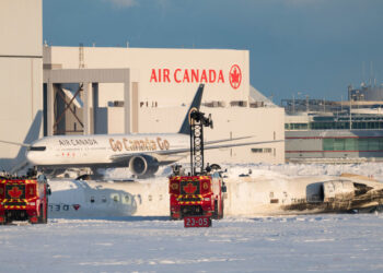 What We Know About the Delta Plane Crash in Toronto
