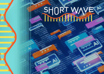 What happens when AI, like ChatGPT, is trained on its own data? : Short Wave : NPR