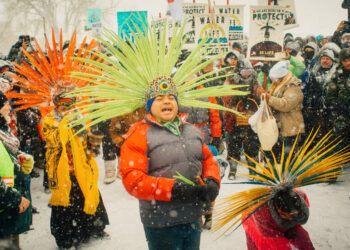 Greenpeace Goes to Court in $300 Million Suit That Poses Bankruptcy Risk