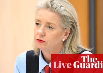 Australia politics live: Trump trade tariffs ‘a real test’, McKenzie says; Greens challenge Labor to act on gambling | Australia news