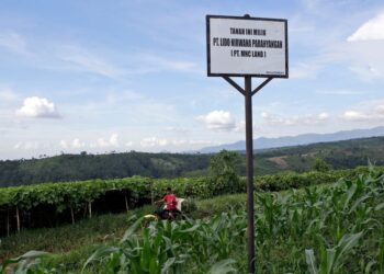 Indonesia Orders Halt Of Tourism Projects Linked To Trump