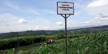 Indonesia Orders Halt Of Tourism Projects Linked To Trump