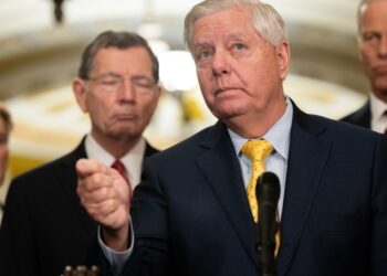 Trump Endorses House Budget Plan With Medicaid Cuts