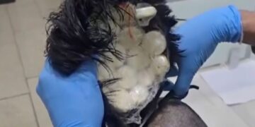 Suspect Detained Over Meticulously-Attached ‘Narco Wig’