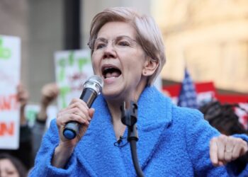 DOGE Access To ‘Sensitive Databases’ Sparks Alarm