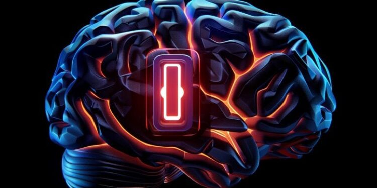 Scientists Found a Brain Switch That Could Turn Anxiety On and Off