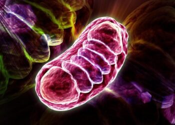 Scientists Identify Cellular “Switch” That May Reverse Diabetes