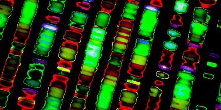 AI Uncovers Hidden Genetic Clues That Challenge COVID-19’s Origins