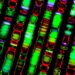 AI Uncovers Hidden Genetic Clues That Challenge COVID-19’s Origins