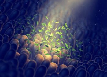 Reducing Inflammation and Obesity: Biologists Transform Gut Bacteria Into Tiny Protein Pharmacies