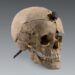 The Mysterious Iberian Nailed Skulls: New Findings Challenge Old Beliefs