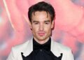 Liam Payne Struggled With Comparisons to 1D Members, Collaborator Says