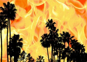 Accidental wildfire alerts prompt probe from Congress