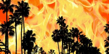 Accidental wildfire alerts prompt probe from Congress