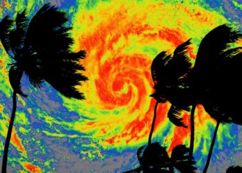 Elon Musk’s DOGE storms federal weather forecasters’ headquarters