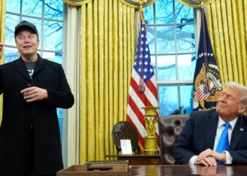 Elon Musk joins Donald Trump in Oval Office as he denies ‘hostile takeover’ of US government | US News