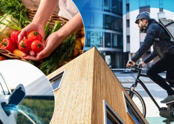 How the climate fight is coming into your home | Science, Climate & Tech News