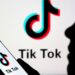 TikTok returns to major US app stores after Trump reassures tech giants | US News