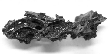 Vesuvius Turned One Victim’s Brain to Glass