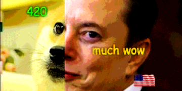 How Elon Musk Uses Internet Slang to Marshal His Army of Online Fans