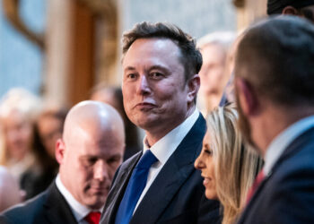 Elon Musk Is Making Republicans Sweat and Giving Democrats a New Target
