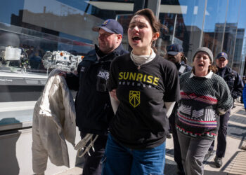 Rage Against Elon Musk Turns Tesla Into a Target