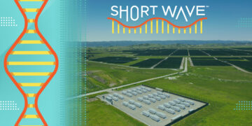 In California, batteries offer hope for the energy crisis : Short Wave : NPR