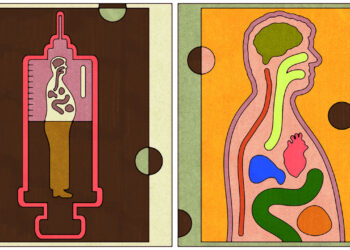 Could weight-loss drugs eat the world?