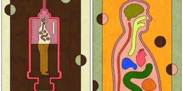 Could weight-loss drugs eat the world?