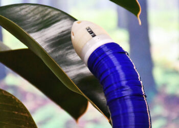 Why robots should take more inspiration from plants