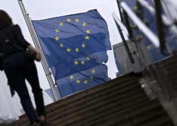 European firms are smaller and less profitable than American ones