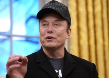 Elon Musk’s ‘Government Efficiency’ Plan Is Creating Waste