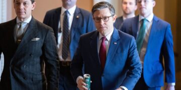 Republican Leaders Tell Members To Avoid Town Halls, ‘Professional Protesters’