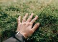 ‘Touch Grass’ App Is An Unconventional Way To Reconnect With Nature