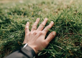 ‘Touch Grass’ App Is An Unconventional Way To Reconnect With Nature
