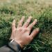‘Touch Grass’ App Is An Unconventional Way To Reconnect With Nature