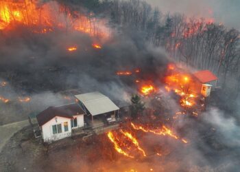 Wildfires Ravage South Korea, Killing 24 People