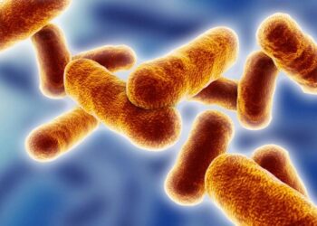 New Method Treats Deadly Infectious Disease Beyond the “Point of No Return”