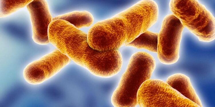 New Method Treats Deadly Infectious Disease Beyond the “Point of No Return”