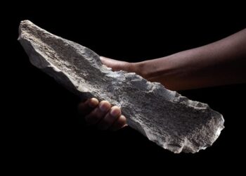 Oldest Known Bone Tools Challenge Our Understanding of Human Evolution