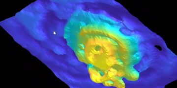 Scientists Can Now See the Inner Ear in Stunning Detail Without Cutting