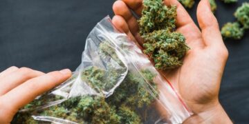 What’s Lurking in Your Weed? Scientists Warn of Toxic Fungal Contamination