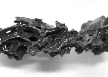 Scientists Discover Mysterious Ancient Human Brain Turned to Glass by Mount Vesuvius