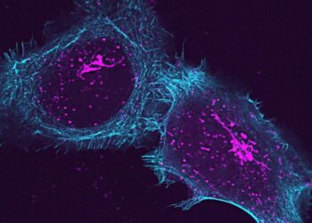 Scientists Uncover Hidden Protein Driving Autoimmune Attacks